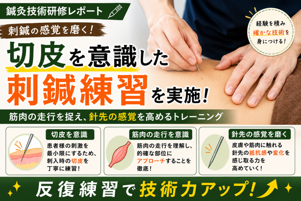 【鍼灸技術研修】刺鍼時の感覚を磨くための反復練習を行いました