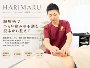 豊橋市中岩田のHARIMARU はり・きゅう治療院の紹介